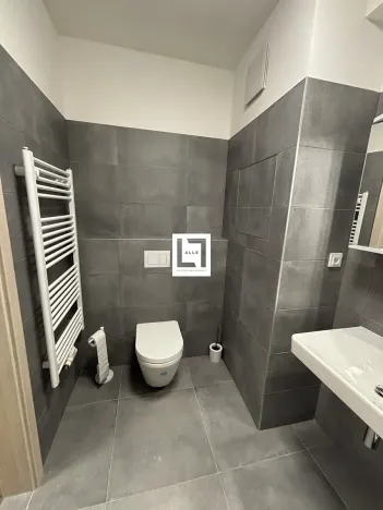 Pronájem bytu 1+kk, Olomouc, Aloise Rašína, 38 m2