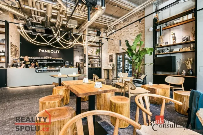 Pronájem bytu 1+kk, Brno - Zábrdovice, Bratislavská, 24 m2
