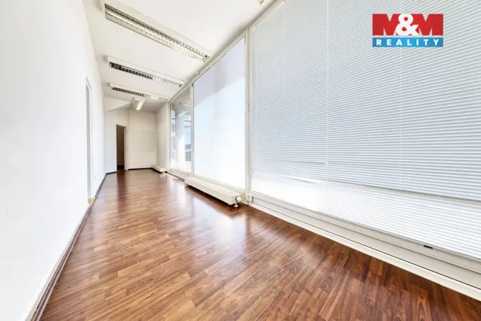 Prodej obchodního prostoru, Písek - Pražské Předměstí, Čechova, 53 m2
