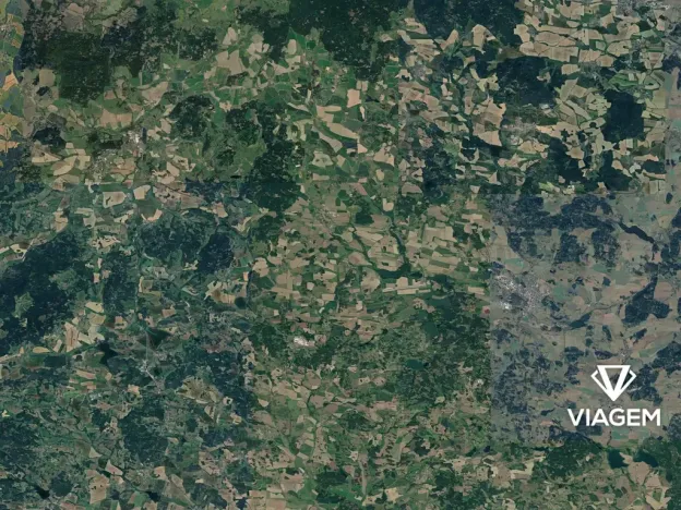 Prodej podílu lesa, Hradiště, 2591 m2