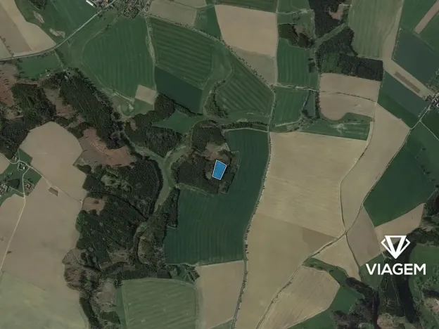 Prodej podílu lesa, Stříbrné Hory, 1425 m2