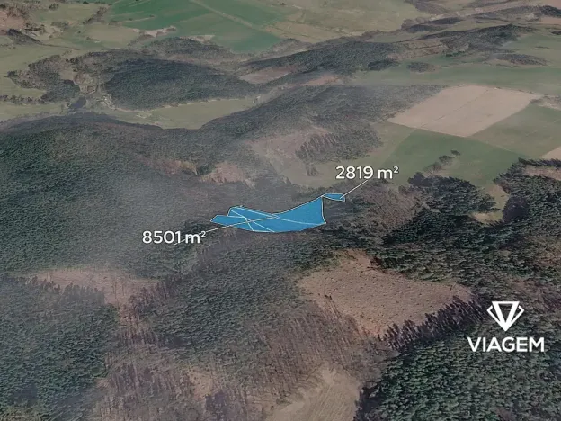 Prodej lesa, Řečice, 8501 m2