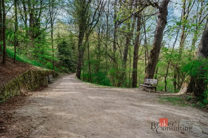 Prodej atypického bytu, Jihlava, Březinovy sady, 48 m2