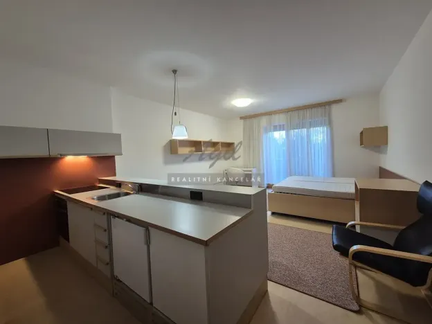 Pronájem bytu 1+kk, Brno, 56 m2