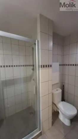 Pronájem bytu 1+1, Most, Žatecká, 37 m2