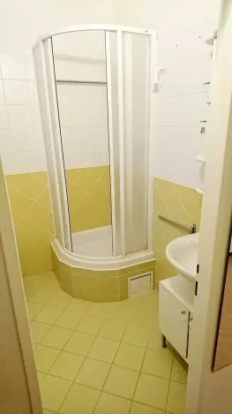 Pronájem bytu 1+1, Praha - Vinohrady, Řipská, 46 m2
