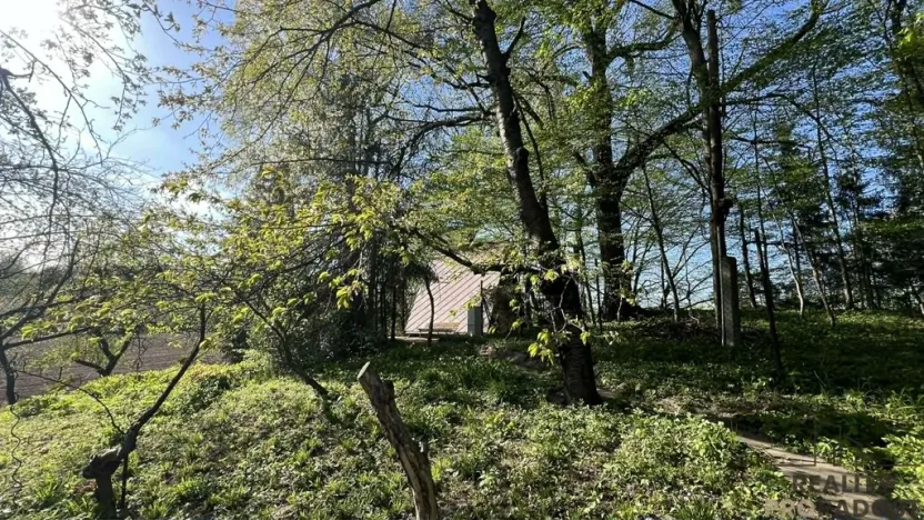 Prodej chaty, Bystřice, 100 m2