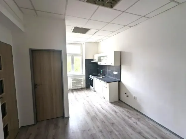 Pronájem bytu 2+kk, Ústí nad Labem - Ústí nad Labem-centrum, Moskevská, 46 m2
