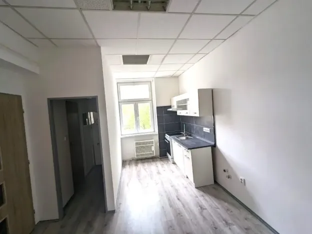 Pronájem bytu 2+kk, Ústí nad Labem - Ústí nad Labem-centrum, Moskevská, 46 m2