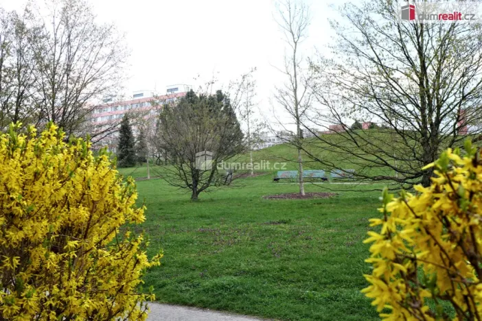 Pronájem bytu 4+kk, Praha - Chodov, Vejvanovského, 84 m2