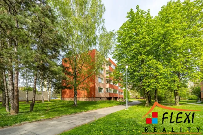 Pronájem bytu 2+kk, Ostrava - Hrabůvka, Krestova, 54 m2