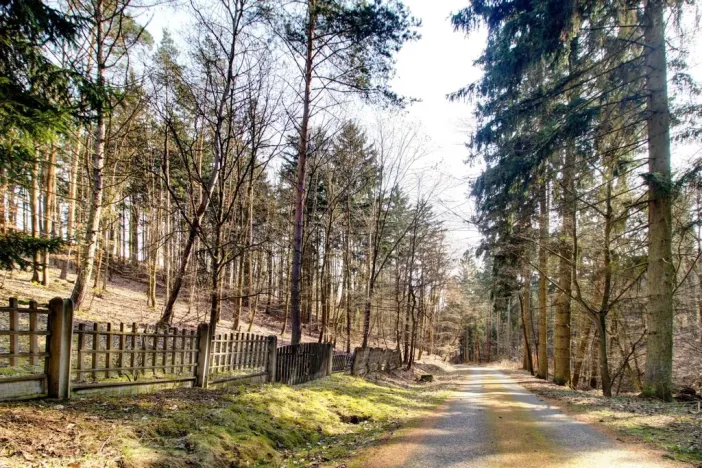 Prodej chaty, Kladruby - Hřešihlavy, 86 m2
