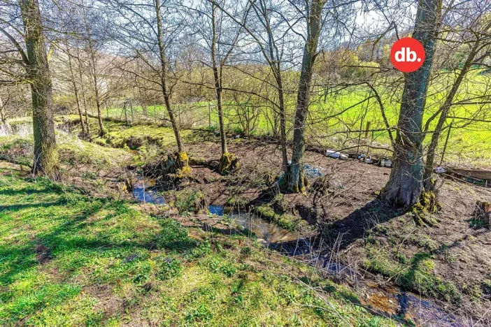 Prodej rybníku, Sadov, 5701 m2