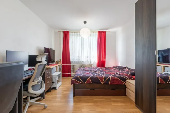 Prodej bytu 1+kk, Brno, Novoměstská, 30 m2