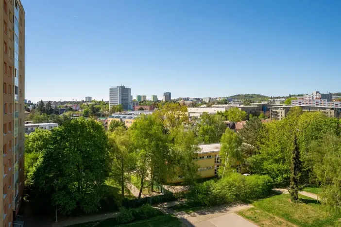 Prodej bytu 1+kk, Brno, Novoměstská, 30 m2
