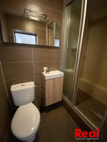Pronájem bytu 1+kk, Brno, Havránkova, 30 m2