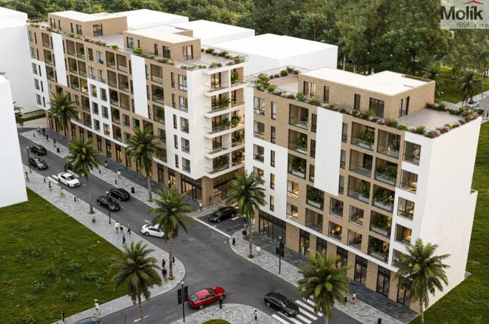 Prodej bytu 2+kk, Golem, 50 m2