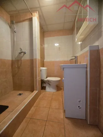 Prodej bytu 1+1, Chomutov, Písečná, 36 m2