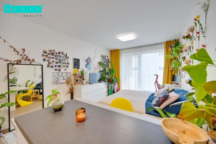 Pronájem bytu 1+kk, Olomouc - Nové Sady, Rokycanova, 37 m2