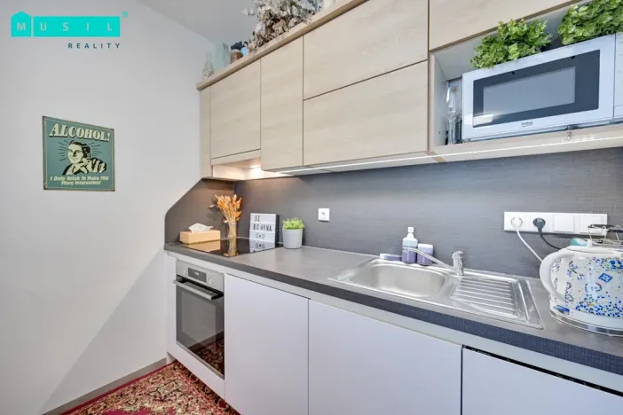 Pronájem bytu 1+kk, Olomouc - Nové Sady, Rokycanova, 37 m2