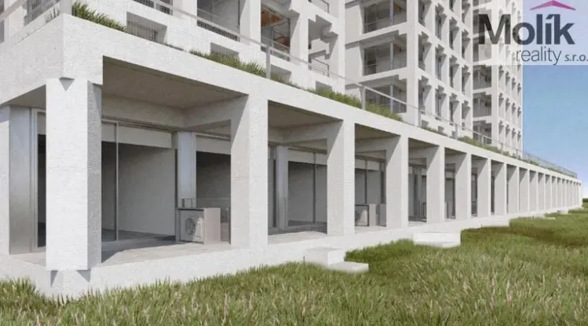 Prodej bytu 2+kk, Golem, 62 m2