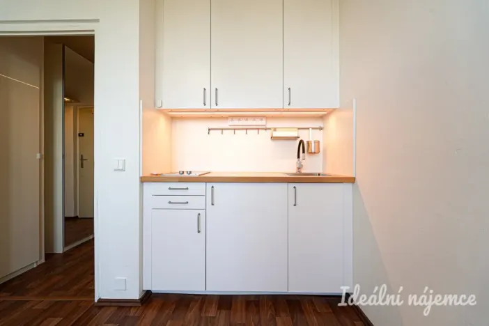 Pronájem bytu 1+kk, Brno, Halasovo náměstí, 20 m2