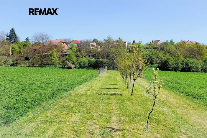 Prodej zahrady, Sokolnice, 1667 m2