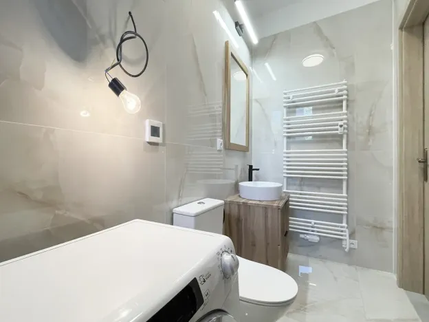 Pronájem bytu 1+kk, Olomouc - Hodolany, Elišky Krásnohorské, 34 m2