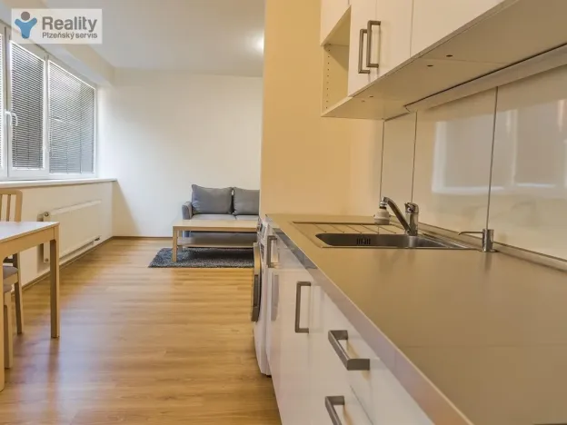 Pronájem bytu 2+kk, Plzeň - Východní Předměstí, Sladkovského, 55 m2