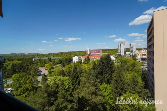 Pronájem bytu 3+1, Brno - Lesná, Haškova, 67 m2