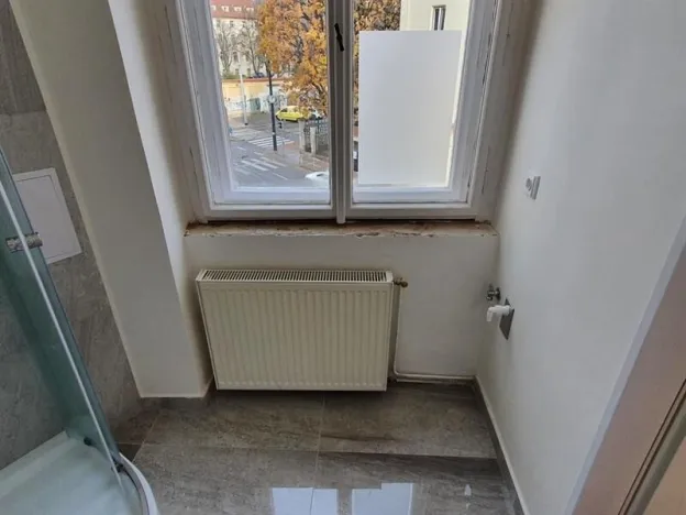 Pronájem bytu 1+kk, Praha, Svobodova, 30 m2
