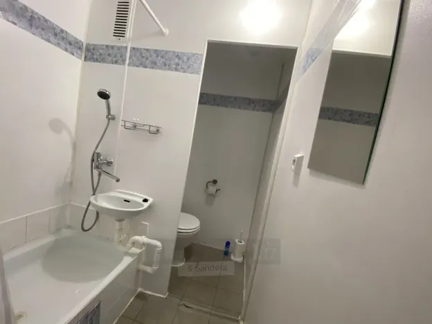 Pronájem bytu 1+kk, České Budějovice - České Budějovice 3, Puklicova, 20 m2