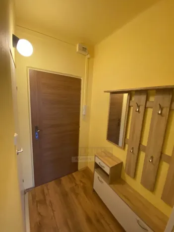 Pronájem bytu 1+kk, České Budějovice - České Budějovice 3, Puklicova, 20 m2