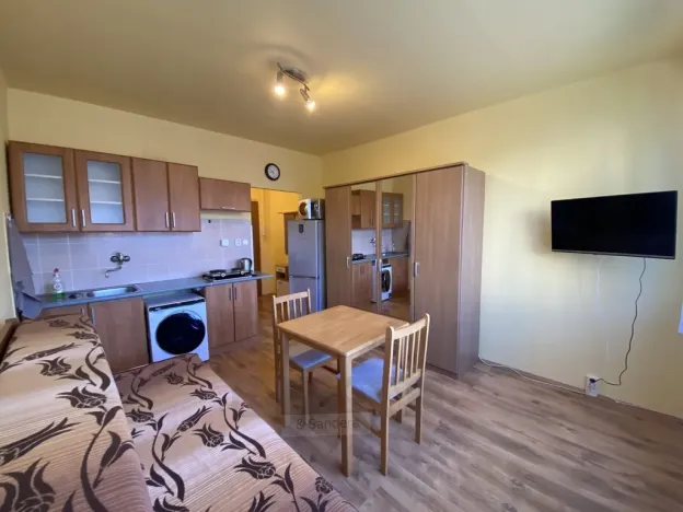 Pronájem bytu 1+kk, České Budějovice - České Budějovice 3, Puklicova, 20 m2