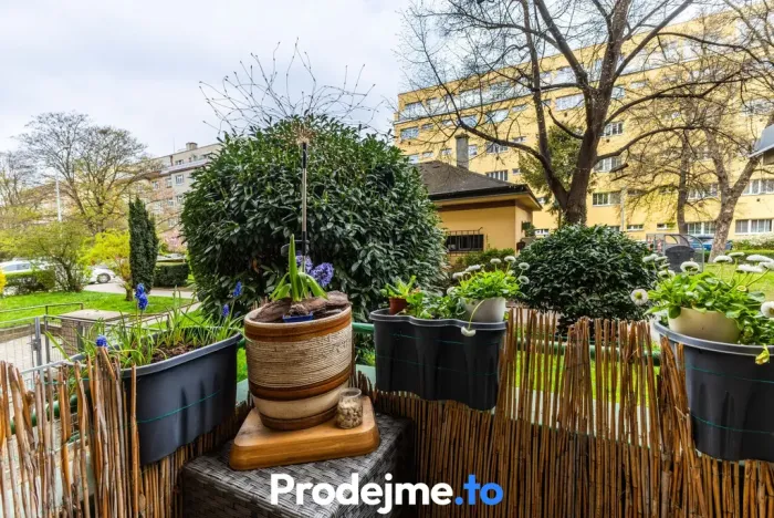 Prodej bytu 2+1, Praha - Libeň, Čihákova, 55 m2