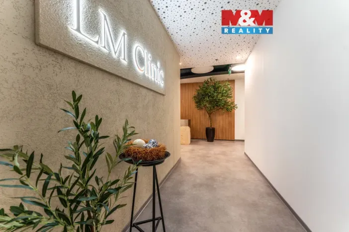 Pronájem obchodního prostoru, Praha - Michle, Jihlavská, 30 m2