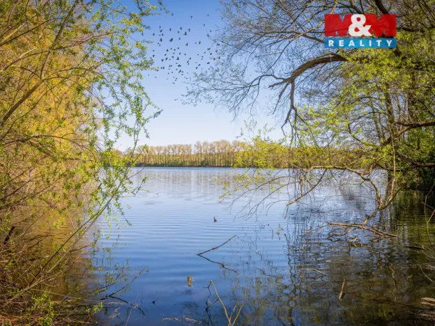 Prodej pozemku pro bydlení, Bystřice, 819 m2