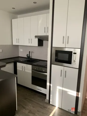 Pronájem bytu 1+kk, Ostrava - Moravská Ostrava, Gen. Píky, 26 m2