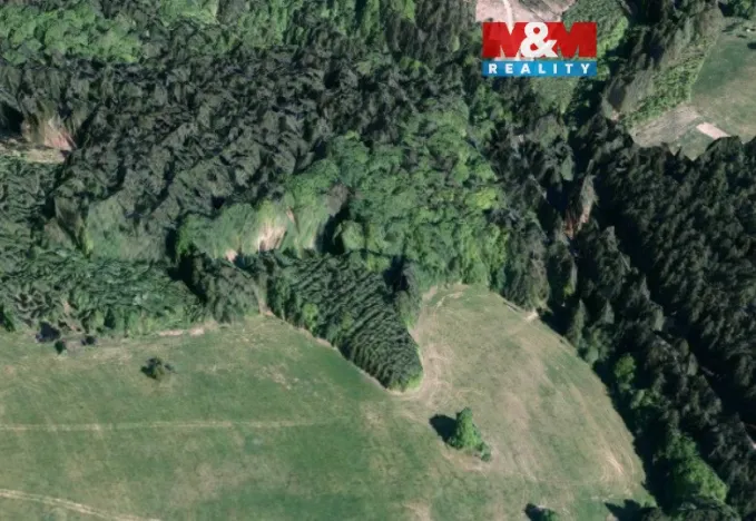 Prodej lesa, Valašská Senice, 8743 m2