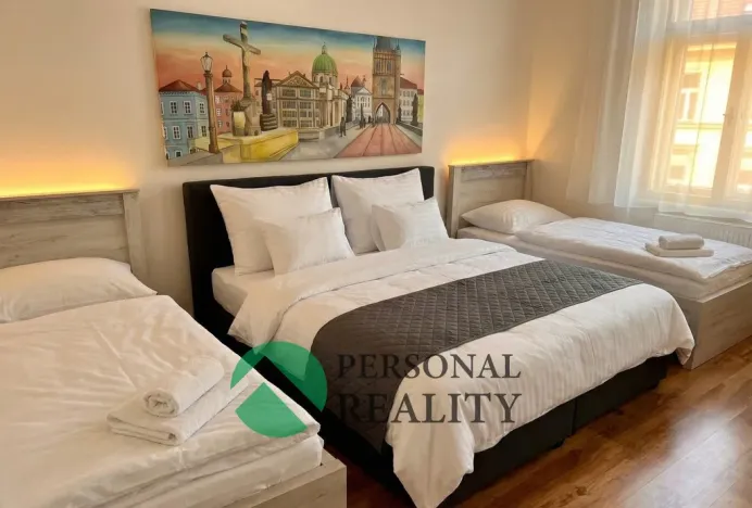 Pronájem ubytování, Praha - Karlín, Křižíkova, 540 m2