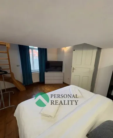 Pronájem ubytování, Praha - Karlín, Křižíkova, 540 m2