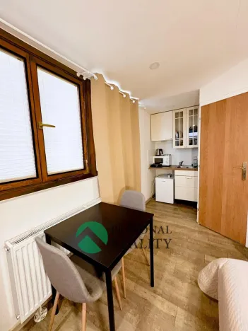 Pronájem ubytování, Praha - Karlín, Křižíkova, 540 m2