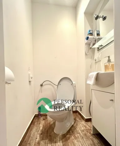 Pronájem ubytování, Praha - Karlín, Křižíkova, 540 m2