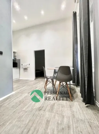Pronájem ubytování, Praha - Karlín, Křižíkova, 540 m2