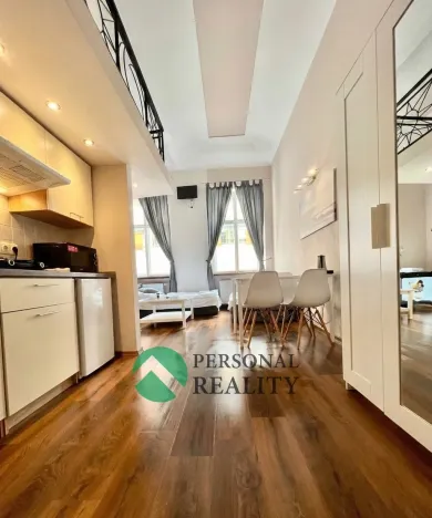 Pronájem ubytování, Praha - Karlín, Křižíkova, 540 m2