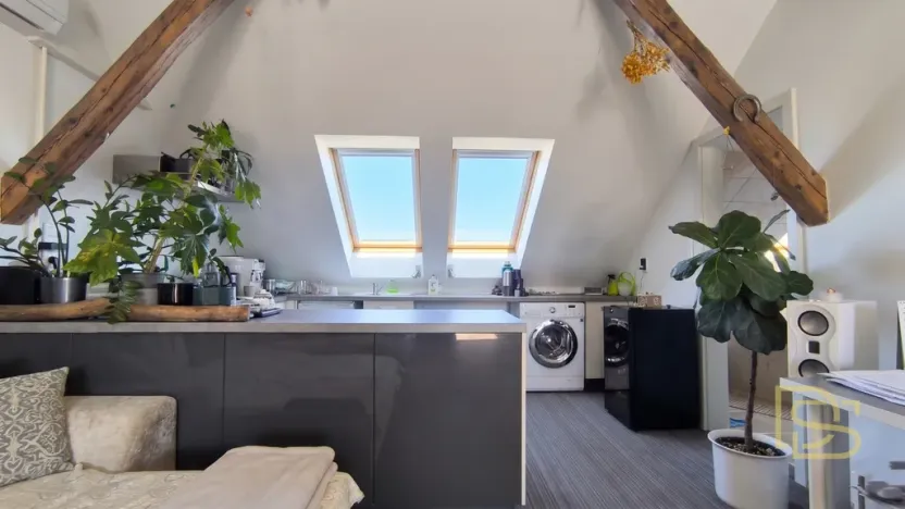 Pronájem bytu 1+kk, Brno - Veveří, Veveří, 48 m2