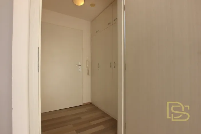 Pronájem bytu 1+kk, Brno - Veveří, Veveří, 48 m2