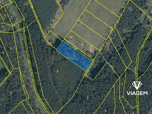 Prodej podílu lesa, Bělá pod Bezdězem, 824 m2