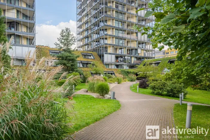 Pronájem bytu 1+kk, Praha - Žižkov, Pitterova, 38 m2