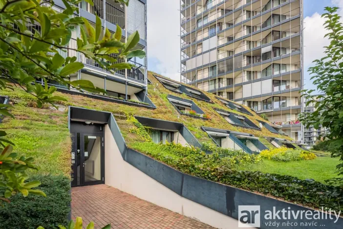 Pronájem bytu 1+kk, Praha - Žižkov, Pitterova, 38 m2